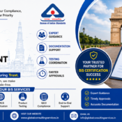 Bis Consultant in Delhi